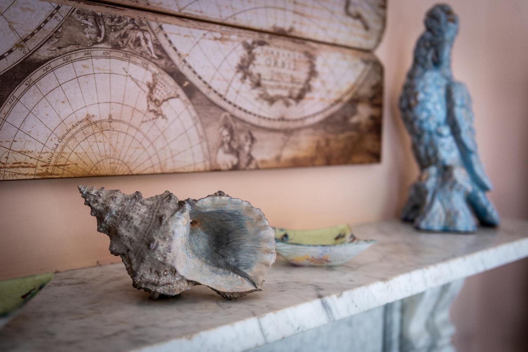 مبيت وإفطار شروزبري Darwin'S Townhouse الغرفة الصورة A conch shell